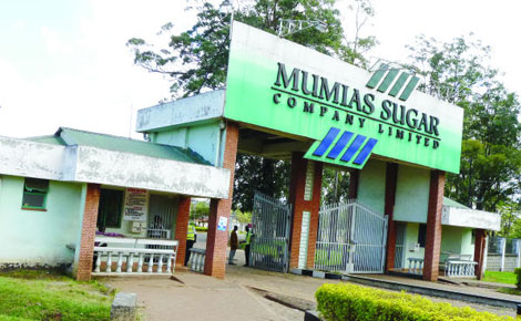 Mumias seeks Sh2bn more in Treasury bailout